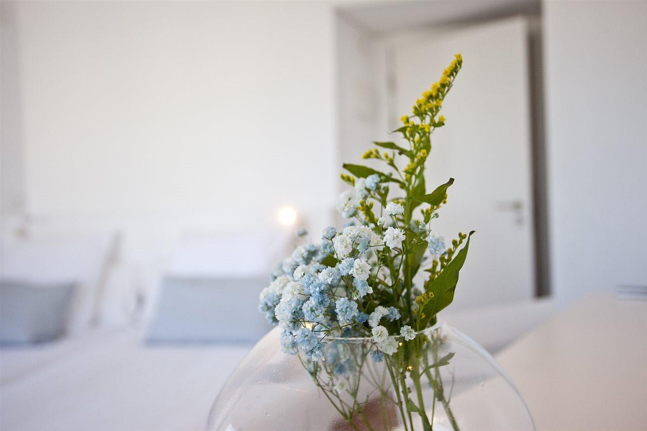 Hotel Galaxia Boutique *