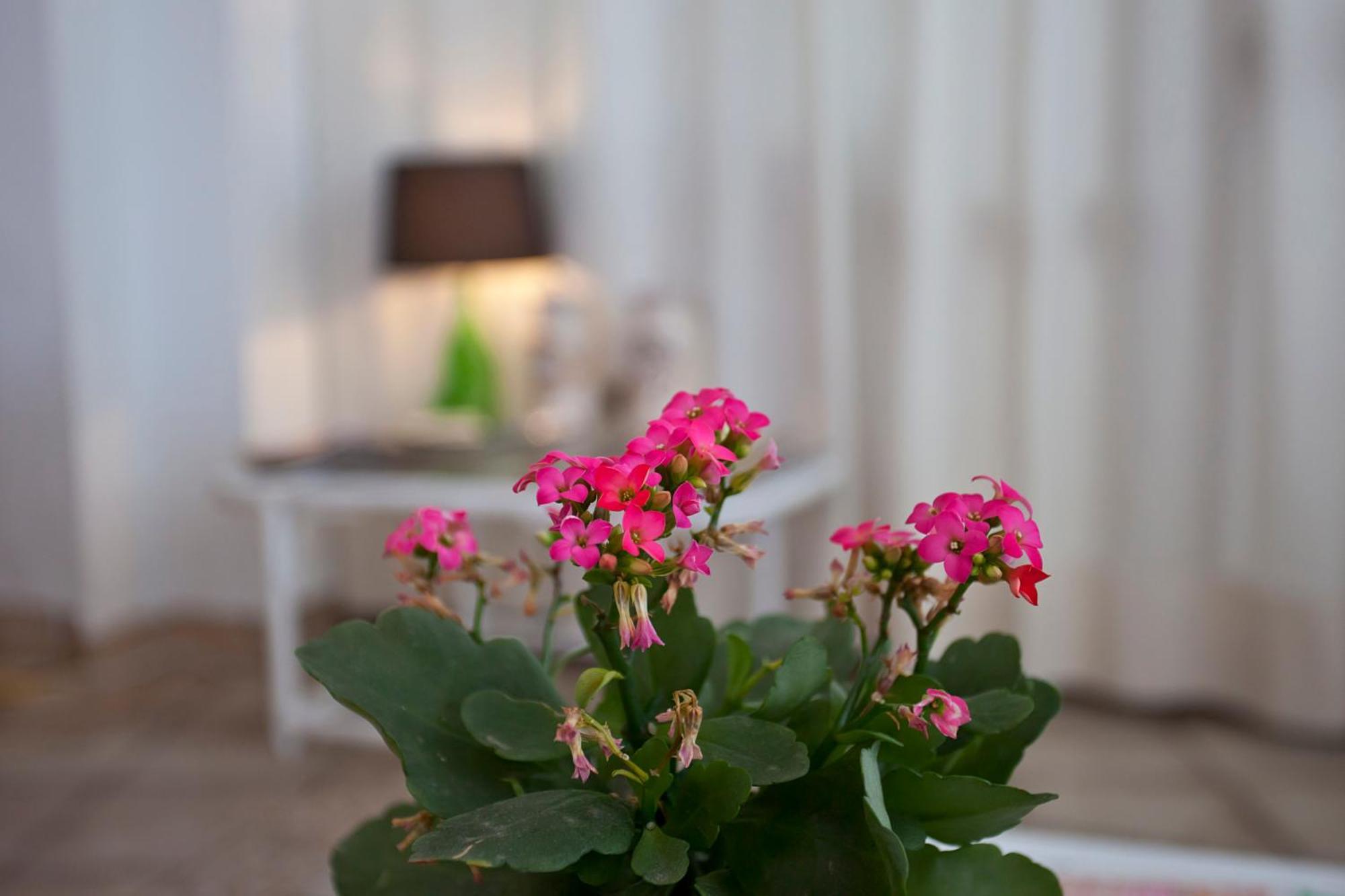 Galaxia Boutique Hotel *